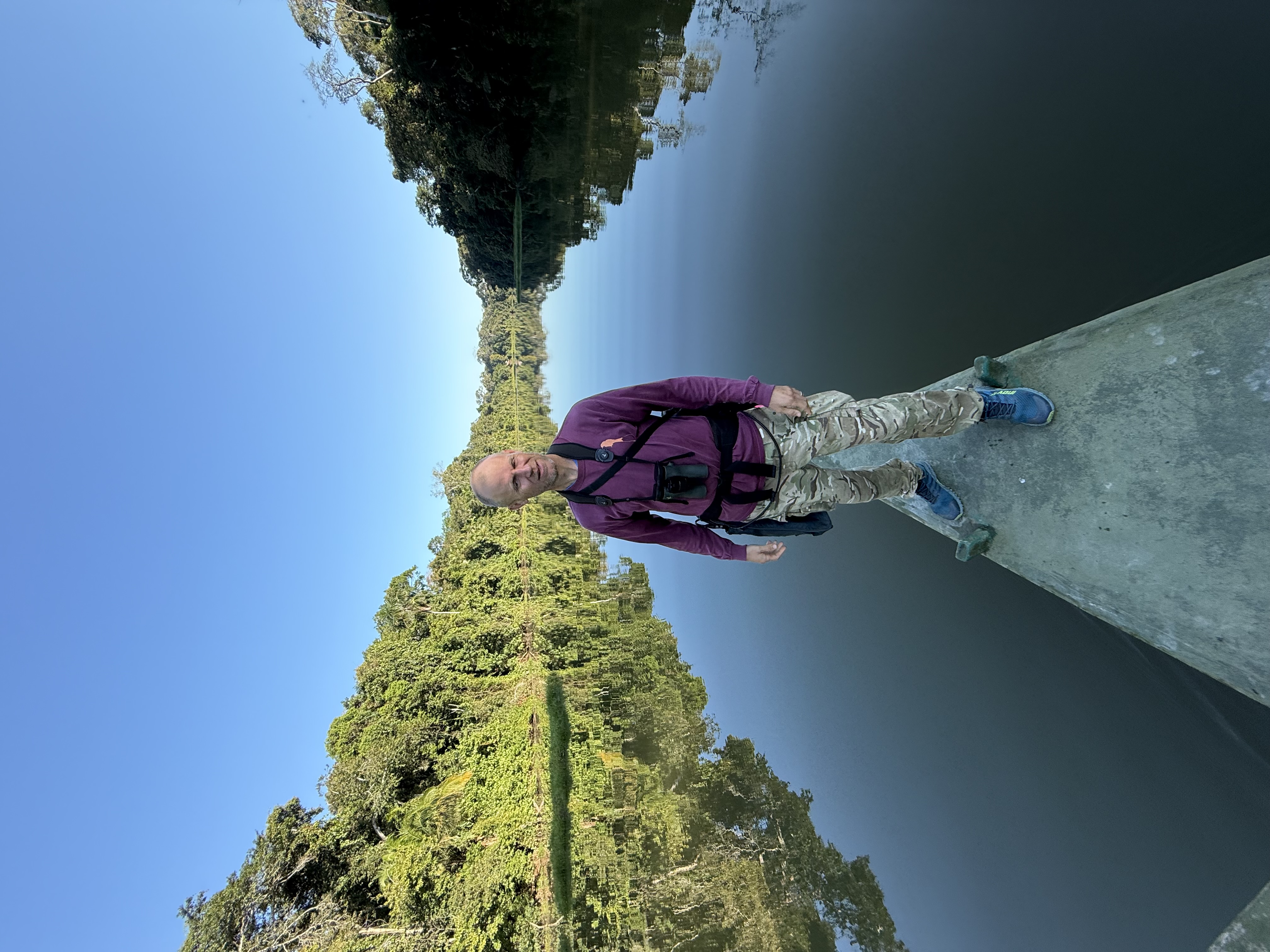 Professor David Edwards